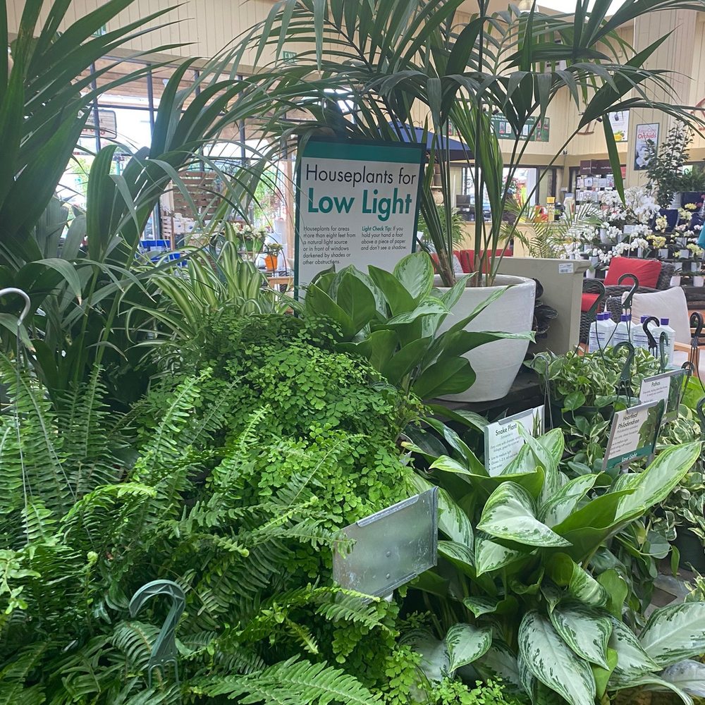Armstrong Garden Centers - Nurseries & Gardening Near Me - Temecula, California