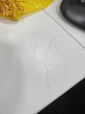 The Halal Guys by null