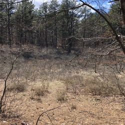Brookhaven State Park