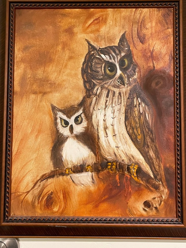 The Toasted Owl Cafe