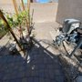 Photo of Battle Born Turf & Pavers