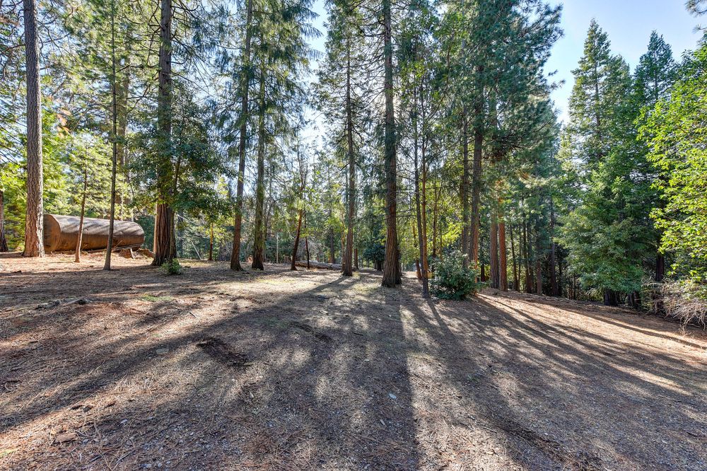 TERRA BRUSH REMOVAL AND LAND CLEARING SERVICES Updated August 2024