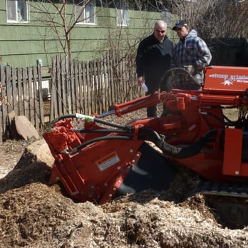 The Stump Grinder Tree Service - Tree Services Near Me The Stump Grinder Tree Service - Tree Services Near Me
