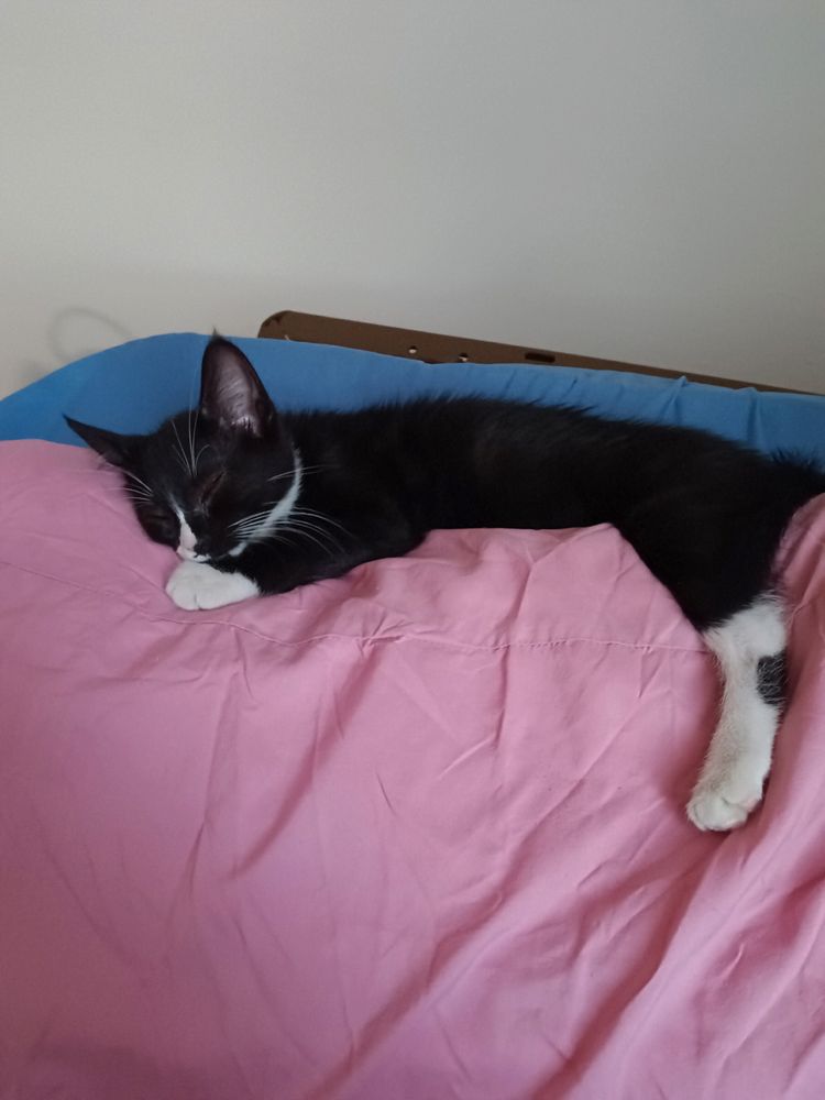 Ezra Multi-Service Center - social services organization in Chicago, IL