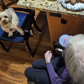 Bellevue Elderly Care - Elder Care Planning Near Me - Bellevue, Washington Bellevue Elderly Care - Elder Care Planning Near Me - Bellevue, Washington