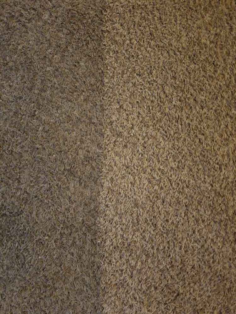 CLEAN TEAM Updated October 2024 39 Photos Anchorage, Alaska