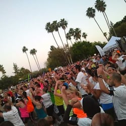The Night Run 5K & 10K - "Owl's Nest" Expo
