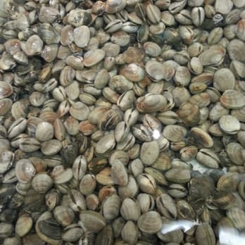 99 Ranch Market - Manila Clam's - International Grocery Near Me - Edmonds, Washington
