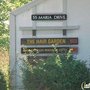 Harmon Toni Jo Registered Electrologist