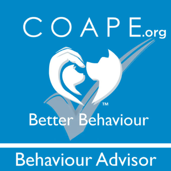 Jo Hinds - Dog Trainer and Behaviourist - Pet Training Near Me Jo Hinds - Dog Trainer and Behaviourist - Pet Training Near Me