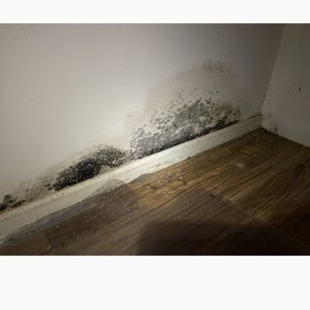 Basement Technologies of Western NC - Mold in our new home that was inspected by basement technologies - Waterproofing Near Me