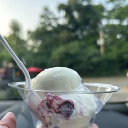 Adele's Frozen Custard - Flavor of the day