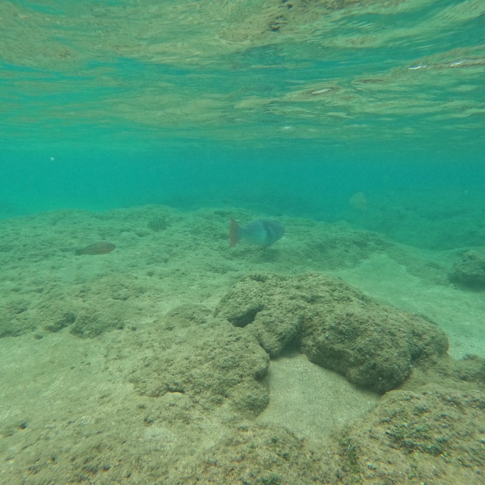 Tunnels Beach - Beaches Near Me