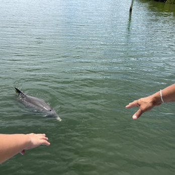Fun 2 Dive Manatee Tours - Snorkeling Near Me - Crystal River, Florida