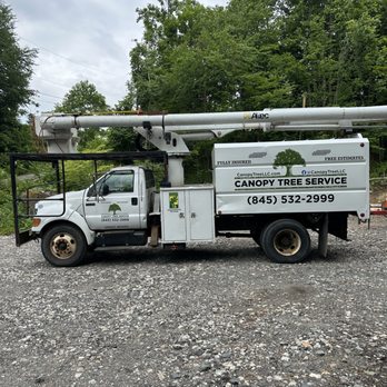 Canopy Tree Service - Tree Services Near Me