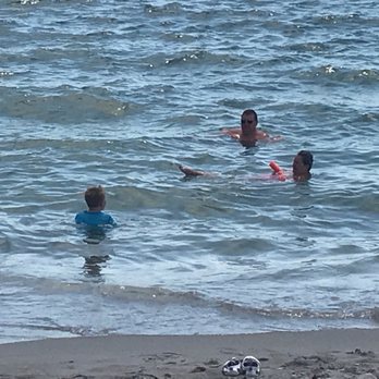 Venice Beach - Beaches Near Me - Venice, Florida