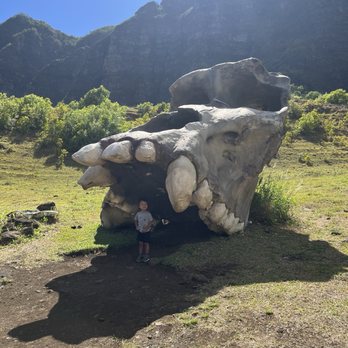 Kualoa Ranch - Movie site tour - Tours Near Me - Kaneohe, Hawaii Kualoa Ranch - Movie site tour - Tours Near Me - Kaneohe, Hawaii
