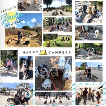 Woofpack - Hiking Camp, WOOFPACK Yearbook 2018, Dog Walk and Training Program - Dog Walkers Near Me Woofpack - Hiking Camp, WOOFPACK Yearbook 2018, Dog Walk and Training Program - Dog Walkers Near Me