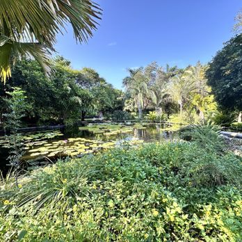 Miami Beach Botanical Garden - Botanical Gardens Near Me - Miami Beach, Florida