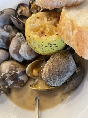 The Twisted Goat by null