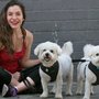 Photo of K9 Cuddles Dog Walking & Pet Sitting
