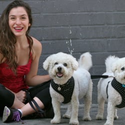 K9 Cuddles Dog Walking & Pet Sitting - Gina with Morris & Barney