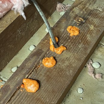 RBH Insulation - This is rodent-proofing? - Insulation Installation Near Me - Hawthorne, California RBH Insulation - This is rodent-proofing? - Insulation Installation Near Me - Hawthorne, California