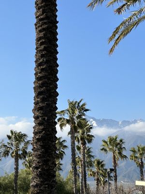 Central Park by null