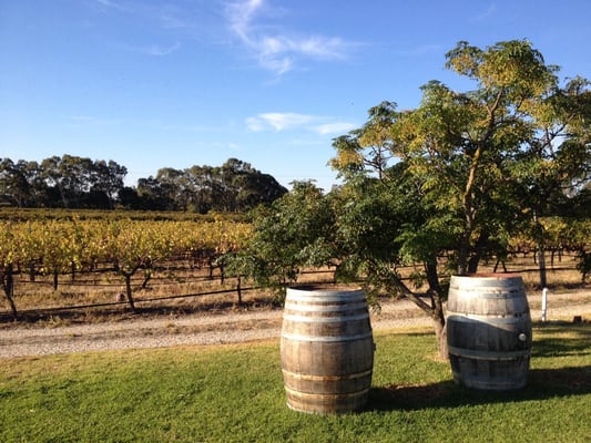 Artisans of Barossa by null