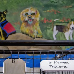 Hillside K9 Academy