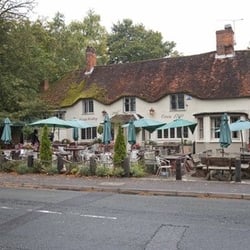 Cart & Horses