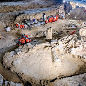 Waco Mammoth National Monument - Overall indoor dig site. - Museums Near Me - Waco, Texas Waco Mammoth National Monument - Overall indoor dig site. - Museums Near Me - Waco, Texas