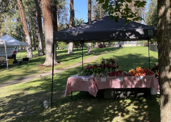 Spokane Farmers' Market by null