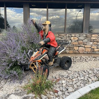 Black Bear Diner Richfield - Cute bear on 4 wheeler - Diners Near Me - Richfield, Utah Black Bear Diner Richfield - Cute bear on 4 wheeler - Diners Near Me - Richfield, Utah