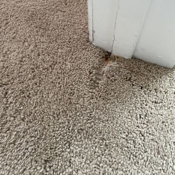 Carpetologist Carpet Repair - Before - Home Services Near Me Carpetologist Carpet Repair - Before - Home Services Near Me