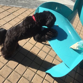 Hound Lounge - Pet Groomers Near Me - Walnut Creek, California
