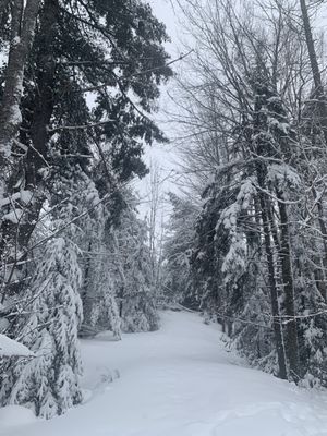 Whiteface Lodge by null