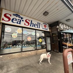 Cross Bay Sea Shell Fish Market - Exterior