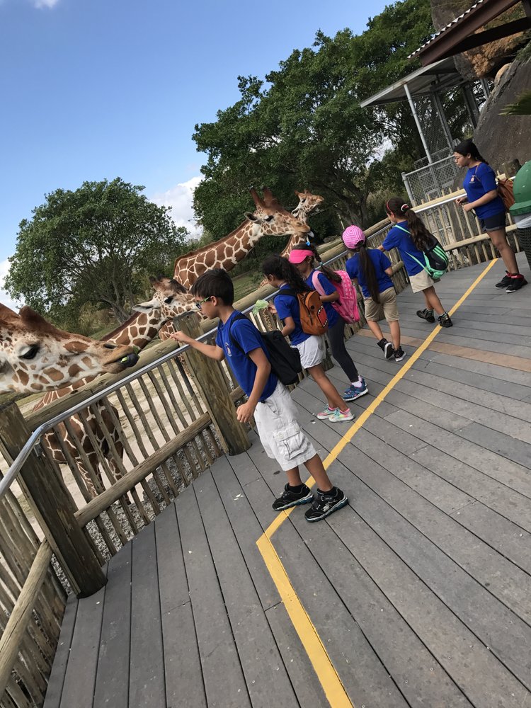 LAGO MAR PRESCHOOL 12 Photos 15732 SW 72nd St, Miami, Florida