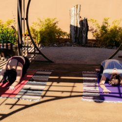 Envision Wellness - Serene escape: enjoy the calming sounds of the birds and onyx fountains.