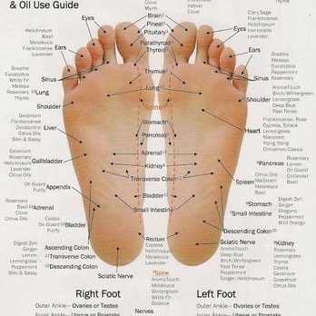 Self Balance Holistic Health - Reflexology & doTERRA essential oils - Internal Medicine Near Me Self Balance Holistic Health - Reflexology & doTERRA essential oils - Internal Medicine Near Me