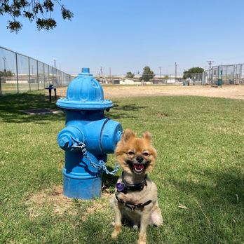 Bark Park - Sancho posing next to the SE hydrant in the small dog area. - Dog Parks Near Me - Fort Bliss, Texas