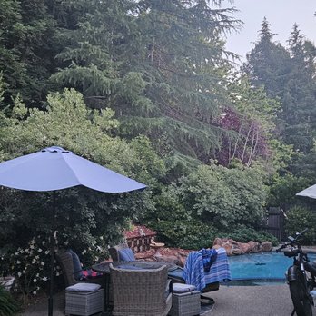 Elite Lawn and Yard Care - Before - Gardeners Near Me