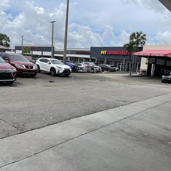 The Lion Auto Detailing - Car Wash Near Me - Miami, Florida The Lion Auto Detailing - Car Wash Near Me - Miami, Florida