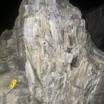 The Broom Closet - 900 lbs petrified wood $$$$$$ale Jim 5303662289 - Spiritual Shop Near Me - Red Bluff, California The Broom Closet - 900 lbs petrified wood $$$$$$ale Jim 5303662289 - Spiritual Shop Near Me - Red Bluff, California