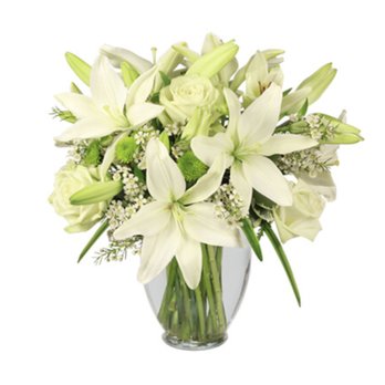 Avio Flowers - Florists Near Me - North York, Ontario Avio Flowers - Florists Near Me - North York, Ontario