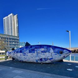 The Big Fish