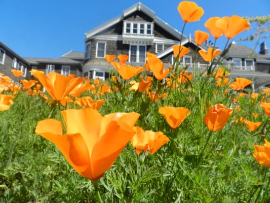 Dominican University of California by null