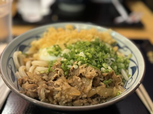 Marugame Udon by null