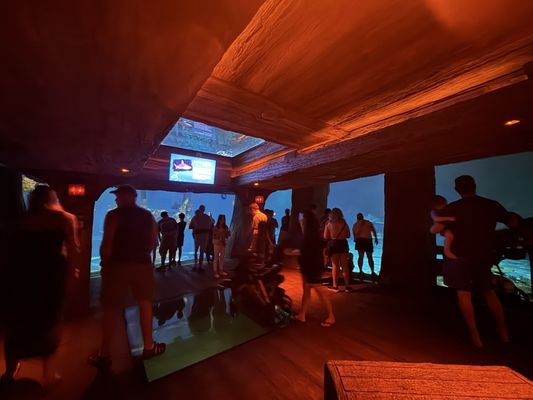 Shark Reef Aquarium at Mandalay Bay by null